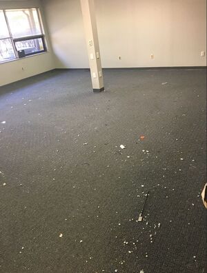 Before & After Commercial Carpet Cleaning in Horsham, PA (1)
